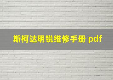 斯柯达明锐维修手册 pdf